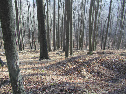 14-Dividing Ridge