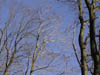 11-Dividing Ridge