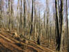 12-Dividing Ridge