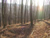 13-Dividing Ridge