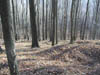 14-Dividing Ridge