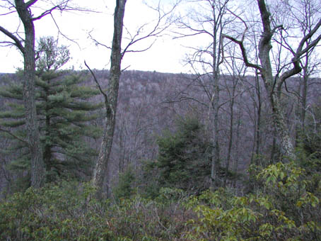 05-Gore Vista