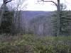 04-Gore Vista