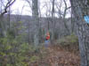 06-Joe Taking Pictures
