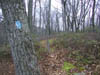 07-The Gore Vista Trail