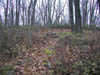 08-The Gore Vista Trail