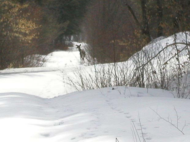 P3080045