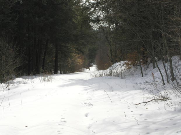P3080046