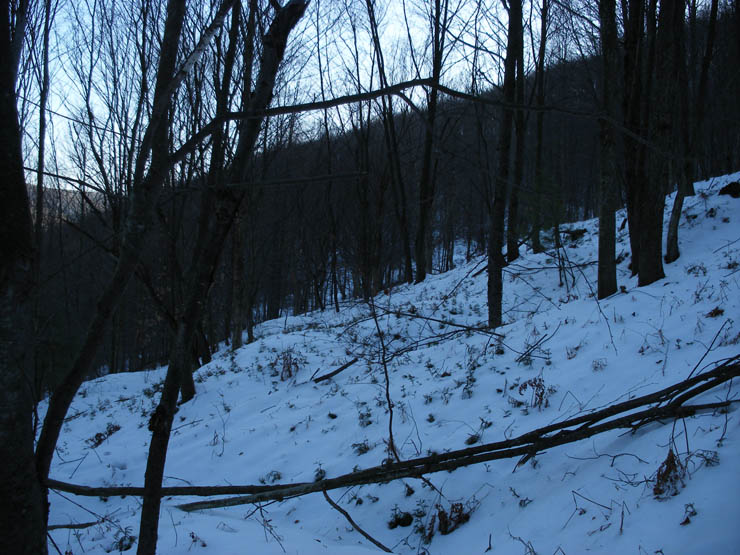 DSCF3113