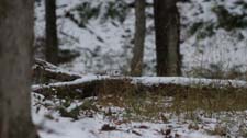 IMG_1700a