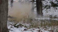 IMG_1700g