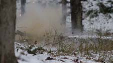 IMG_1700h