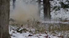 IMG_1700i