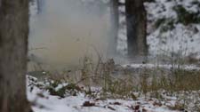 IMG_1700n
