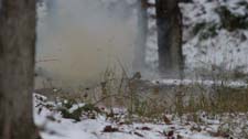 IMG_1700o