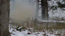 IMG_1700p