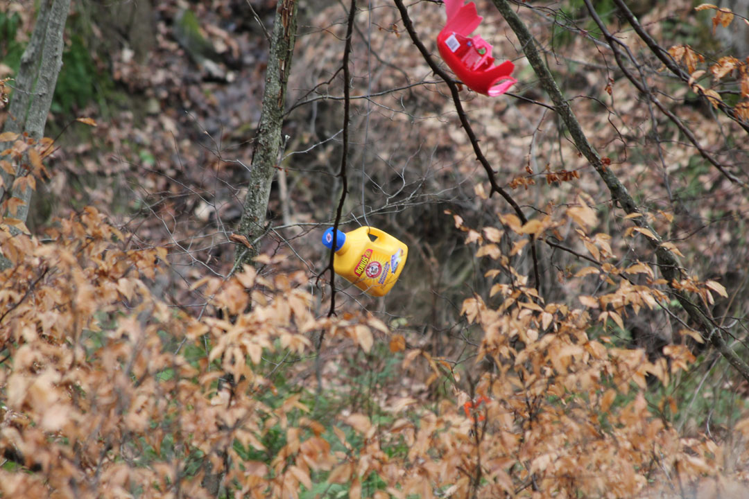 IMG_2460